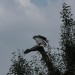 mini-IMG_1310